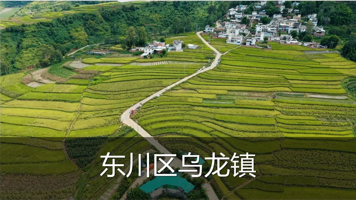 东川区乌龙镇