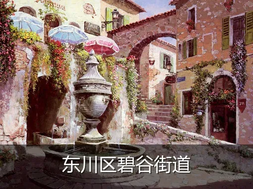 东川区碧谷街道